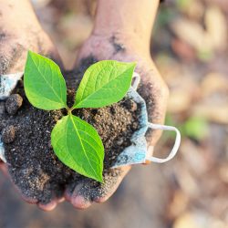 agrisoil